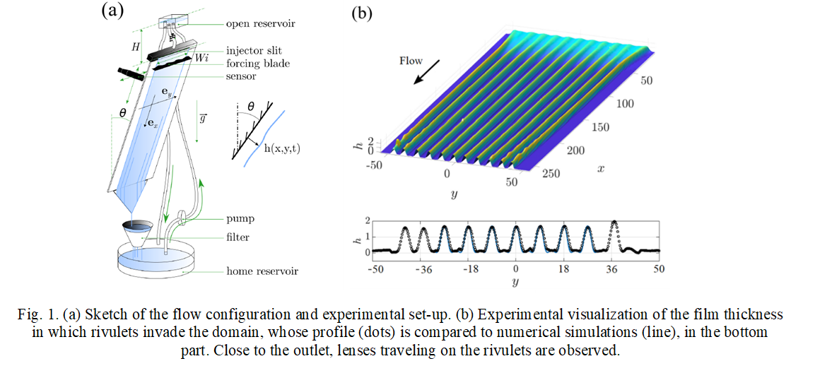 fig1_rivulet