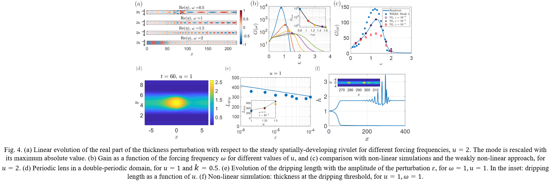 fig4_rivulet